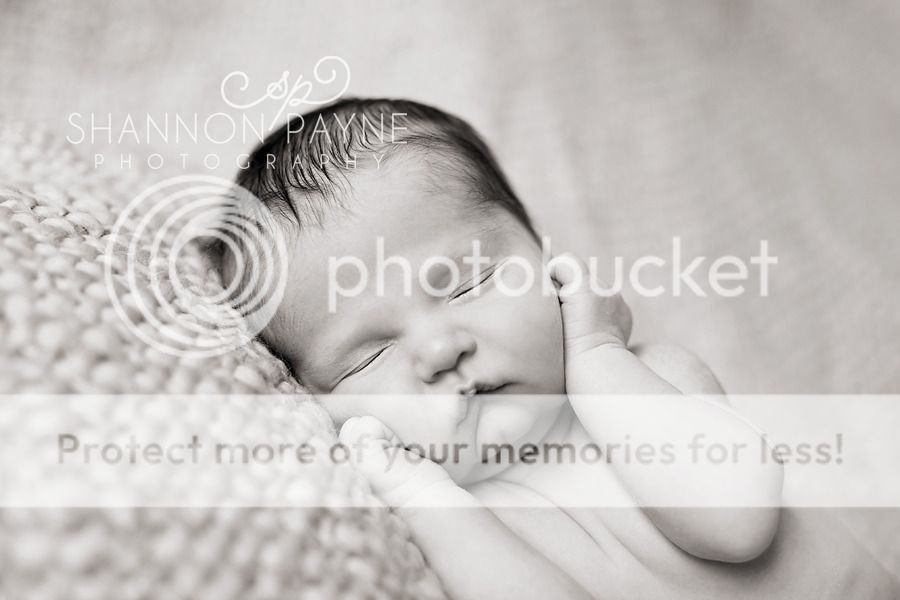 Jordan's Newborn Session  |  Hendersonville TN Newborn Photographer  |  Hendersonville TN Photography Studio