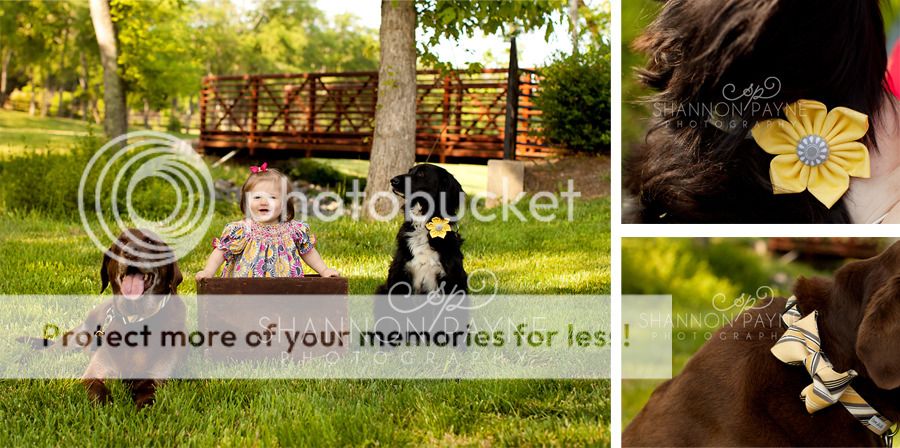  Kathryn 8 Month Session  |  Hendersonville TN Baby Photographer