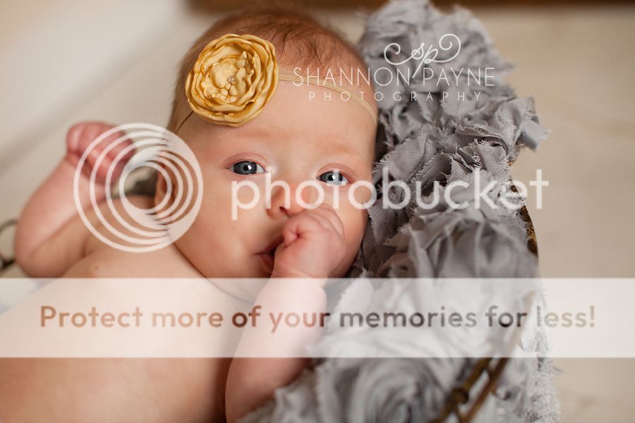  Kendall 3.5 Months  |  Hendersonville TN Baby Photographer  |  Hendersonville TN Photography Studio