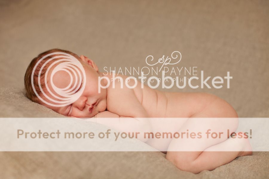  Kingston's Newborn Session  |  Hendersonville TN Newborn Photographer
