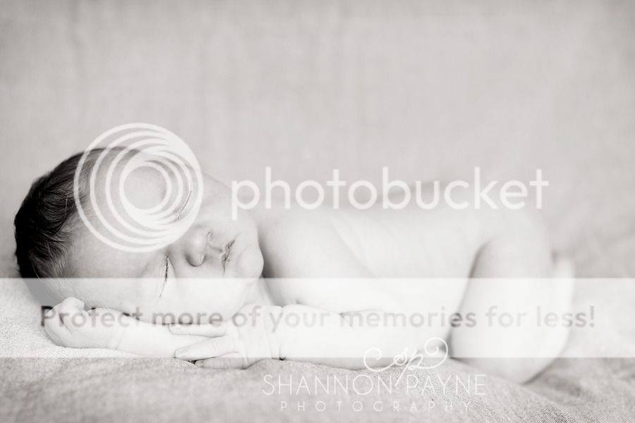  Kingston's Newborn Session  |  Hendersonville TN Newborn Photographer