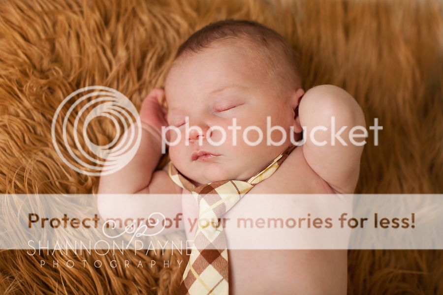  Kingston's Newborn Session  |  Hendersonville TN Newborn Photographer