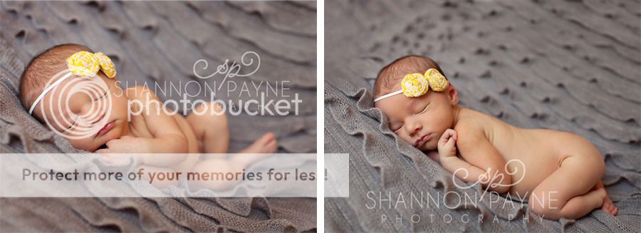  Lily's Newborn Session  |  Hendersonville TN Newborn Photographer