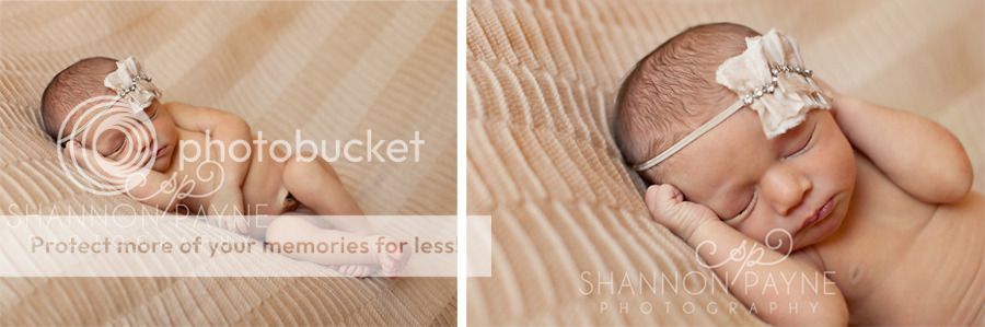  Lily's Newborn Session  |  Hendersonville TN Newborn Photographer