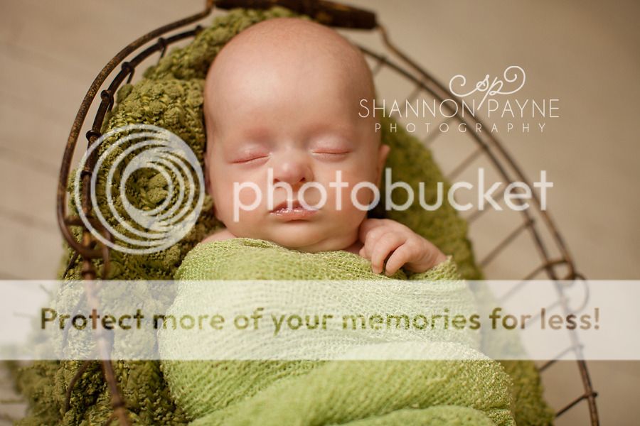 Baby K's Newborn Session  |  Hendersonville TN Newborn Photographer  |  Nashville TN Newborn Photographer