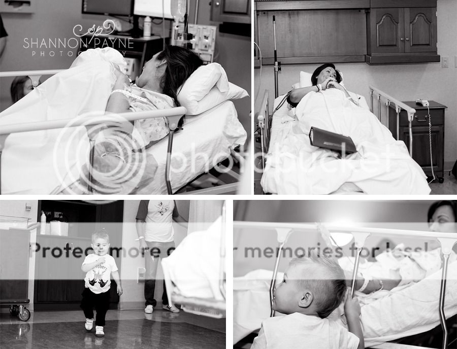  Meeting Cannon  |  Nashville TN Newborn Photographer