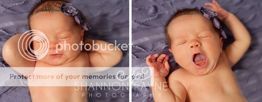  Lola's Newborn Session  |  Hendersonville TN Newborn Photographer  | Nashville TN Newborn Photographer