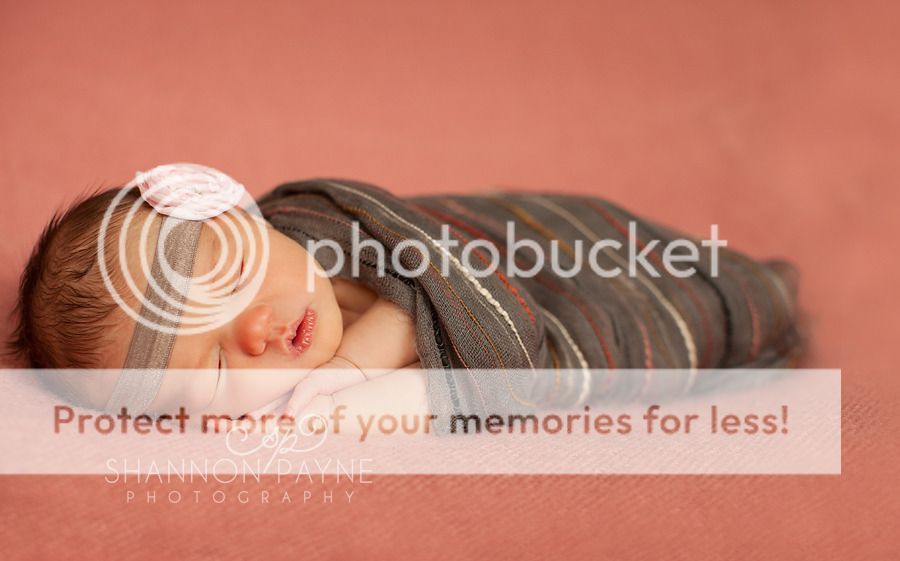  Lola's Newborn Session  |  Hendersonville TN Newborn Photographer  | Nashville TN Newborn Photographer