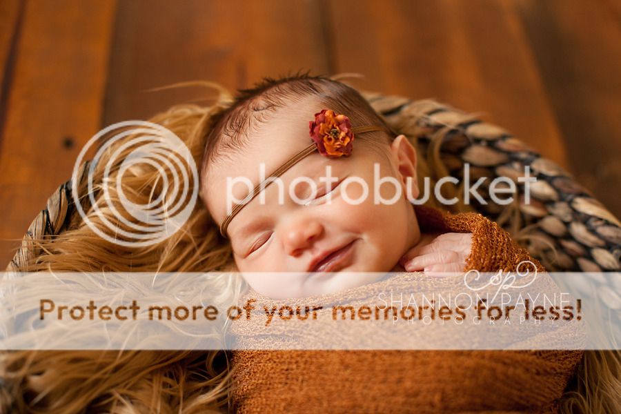  Lola's Newborn Session  |  Hendersonville TN Newborn Photographer  | Nashville TN Newborn Photographer