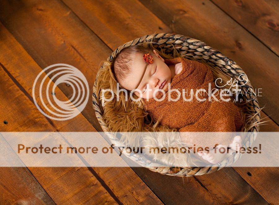  Lola's Newborn Session  |  Hendersonville TN Newborn Photographer  | Nashville TN Newborn Photographer