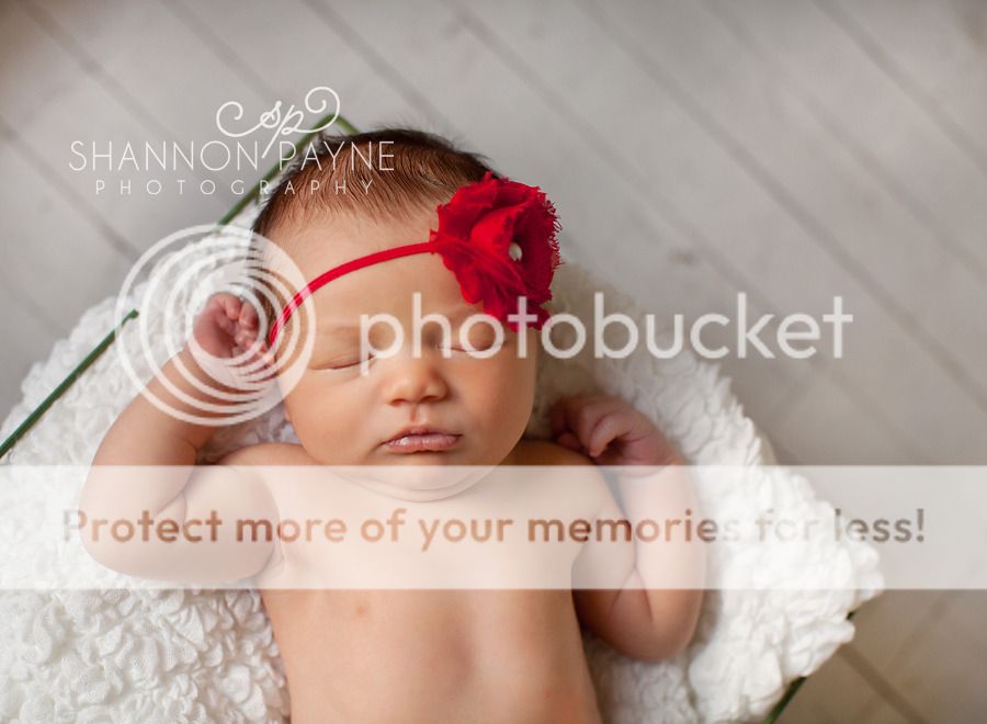  Lola's Newborn Session  |  Hendersonville TN Newborn Photographer  | Nashville TN Newborn Photographer