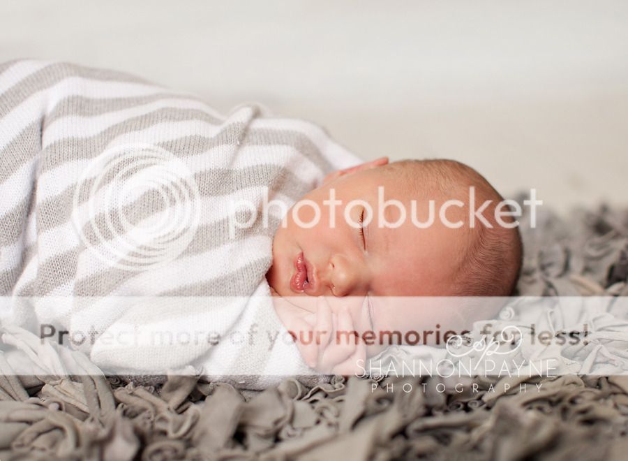  M's Newborn Session  |  Hendersonville TN Newborn Photographer  |  Hendersonville TN Photography Studio