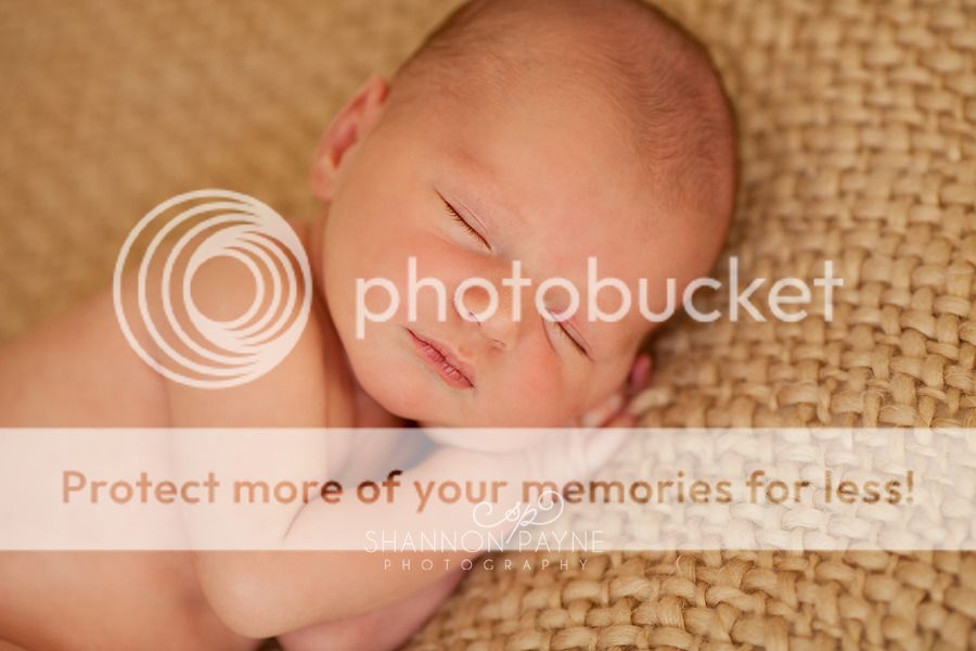  M's Newborn Session  |  Hendersonville TN Newborn Photographer  |  Hendersonville TN Photography Studio