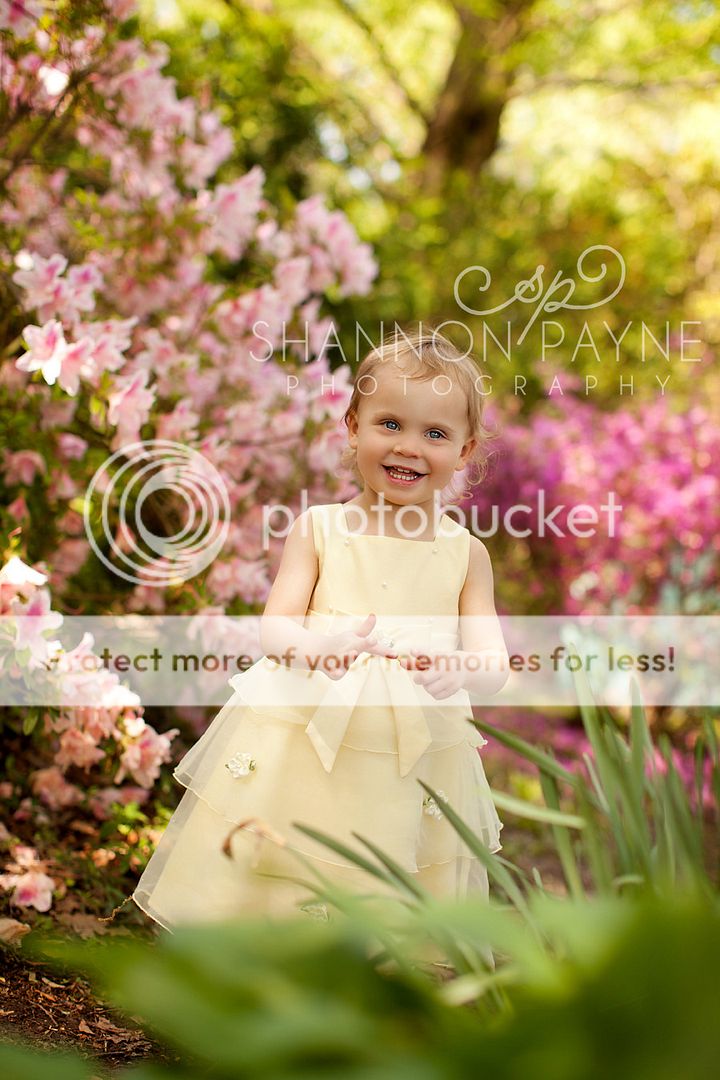  Memphis Spring Sessions: Part 1  |  Memphis TN Family and Child Photographer