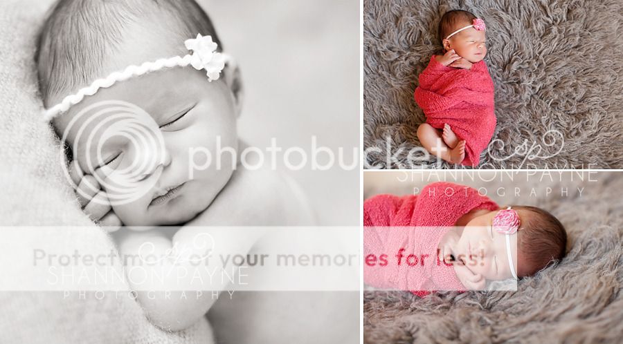  Mila's Newborn Session  |  Hendersonville TN Newborn Photographer