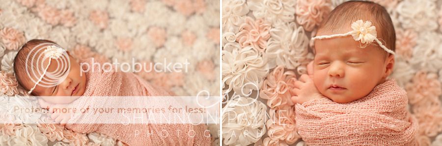  Mila's Newborn Session  |  Hendersonville TN Newborn Photographer