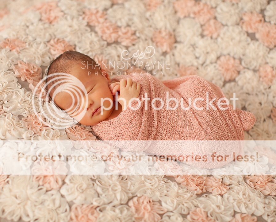  Mila's Newborn Session  |  Hendersonville TN Newborn Photographer