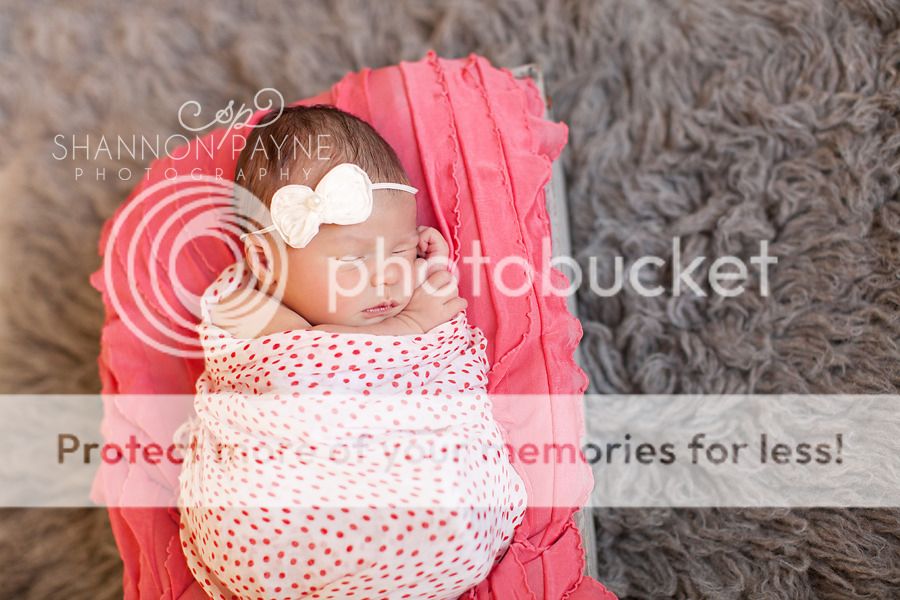  Mila's Newborn Session  |  Hendersonville TN Newborn Photographer