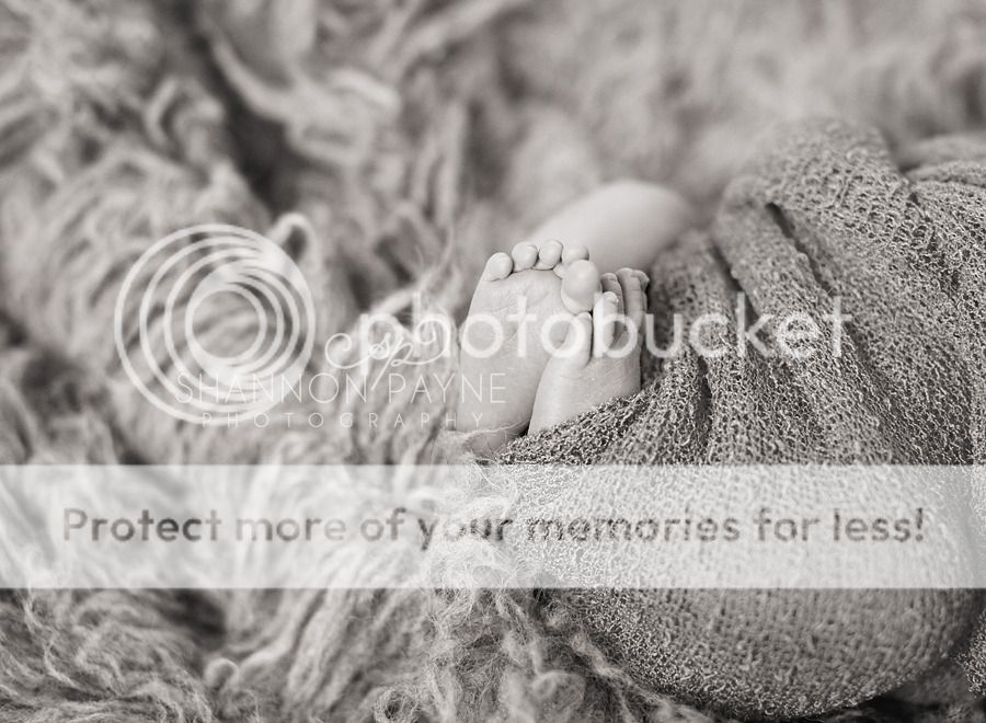  Mila's Newborn Session  |  Hendersonville TN Newborn Photographer