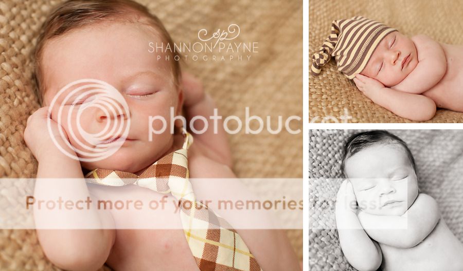  M's Newborn Session  |  Hendersonville TN Newborn Photographer