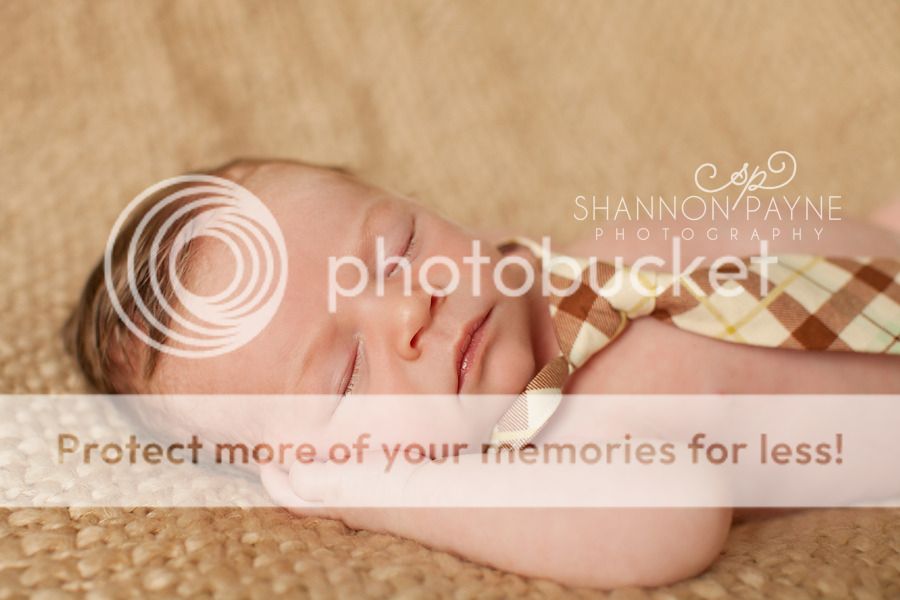  M's Newborn Session  |  Hendersonville TN Newborn Photographer