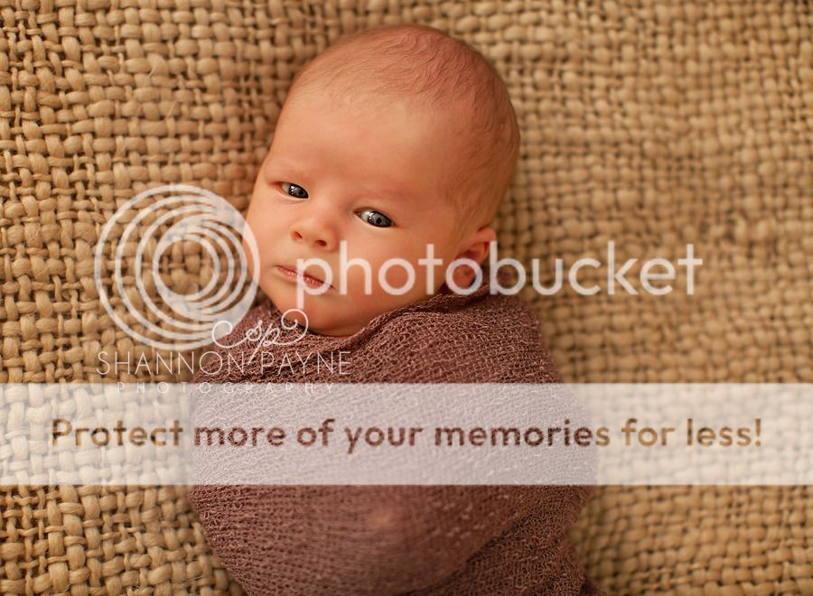  Charlie's Newborn Session  |  Hendersonville TN Newborn Photographer  |  Nashville TN Newborn Photographer