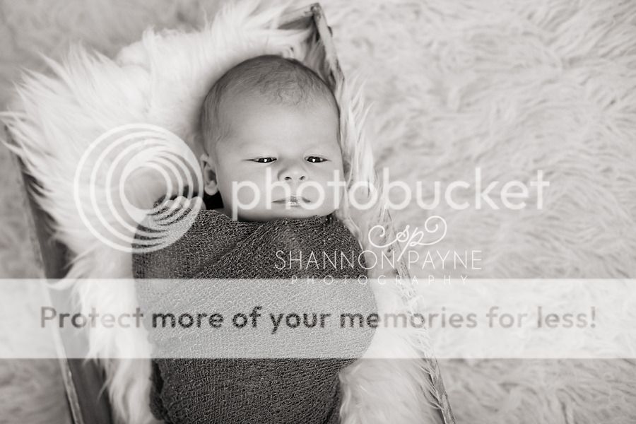  Charlie's Newborn Session  |  Hendersonville TN Newborn Photographer  |  Nashville TN Newborn Photographer