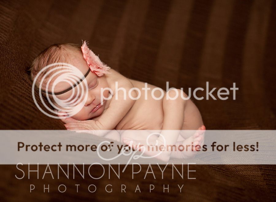  Henley's Newborn Session  |  Nashville TN Newborn Photographer