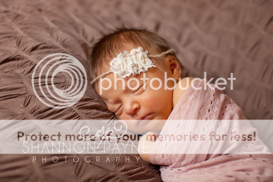  Sweet Surprises  |  Hendersonville TN Newborn Photographer