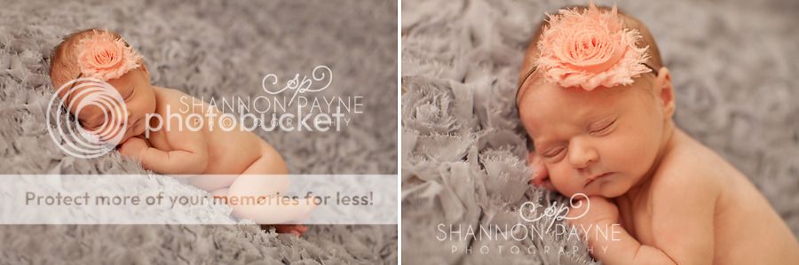  Paisley's Newborn Session  |  Hendersonville TN Newborn Photographer  |  Nashville TN Photography Studio