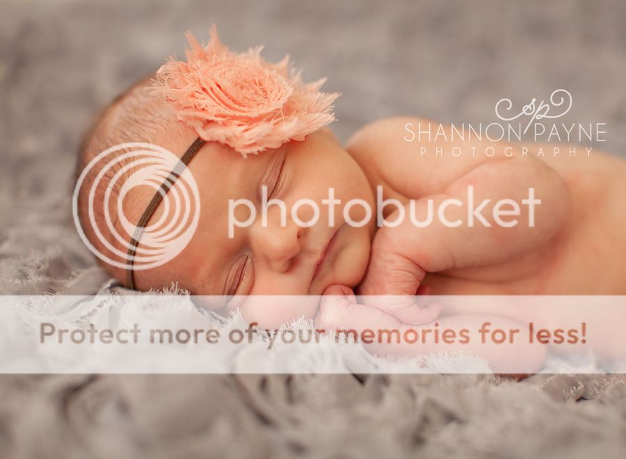  Paisley's Newborn Session  |  Hendersonville TN Newborn Photographer  |  Nashville TN Photography Studio