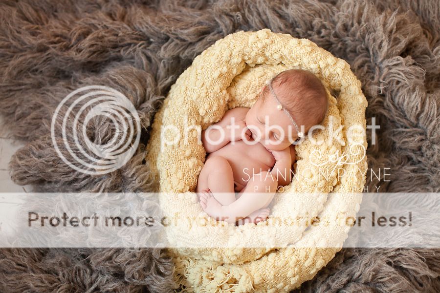  Paisley's Newborn Session  |  Hendersonville TN Newborn Photographer  |  Nashville TN Photography Studio