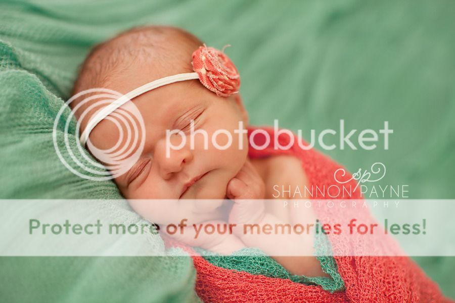  Paisley's Newborn Session  |  Hendersonville TN Newborn Photographer  |  Nashville TN Photography Studio