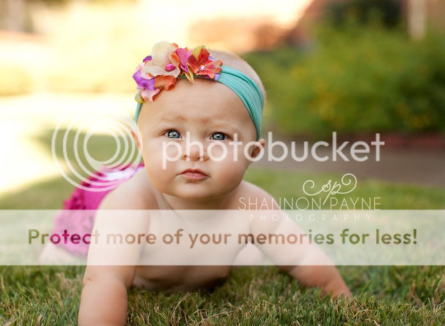  Memphis Fall Minis 2012: Part 3  |  Memphis TN Mini Session Photographer