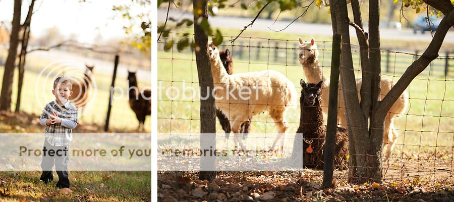  The Todd Family  |  Hendersonville TN Child Photographer