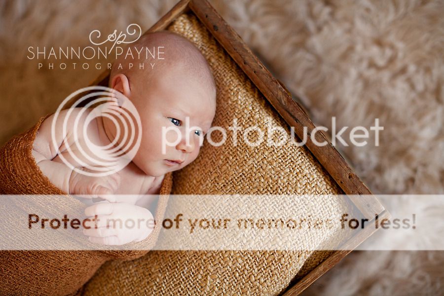  Will's Newborn Session  |  Nashville TN Newborn Photographer  |  Hendersonville TN Photography Studio