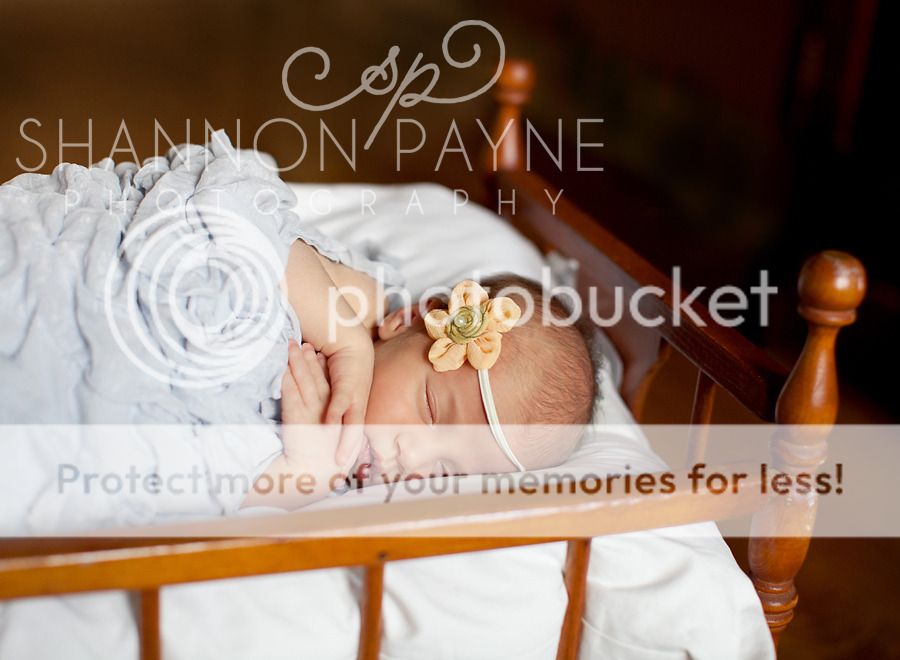  Yopp Family Newborn Session  |  Hendersonville TN Newborn Photographer