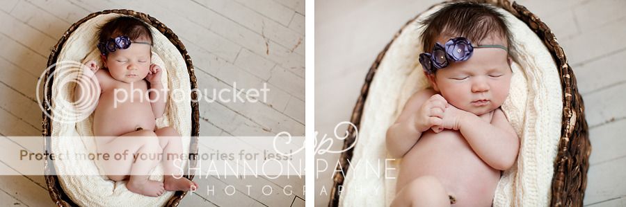  Zora's Newborn Session  |  Hendersonville TN Newborn Photographer